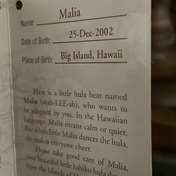 Hawaiian Collectibles Passport Bearfoot Hoku plush stuffed bear like new - Picture 5 of 5